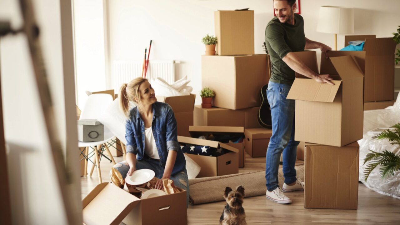 Young couples decluttering house