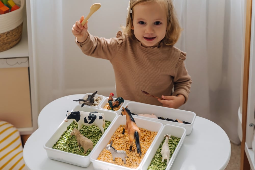 The Final Information to Dried Bean Sensory Bins